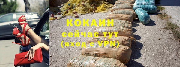 прущие крисы Абаза