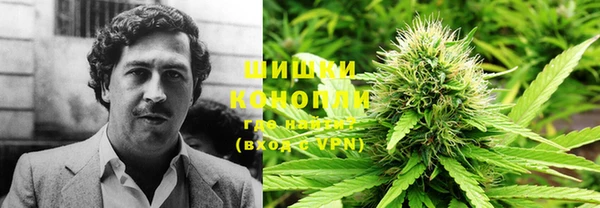 дурь Алексеевка