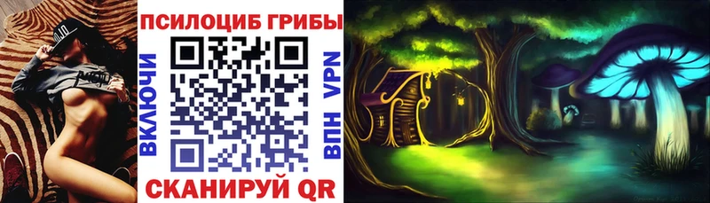 KRAKEN ссылки наркотики Якутск Галлюциногенные грибы Psilocybe